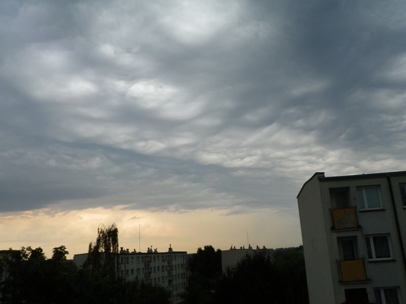 100_6183 - Kopia.JPG