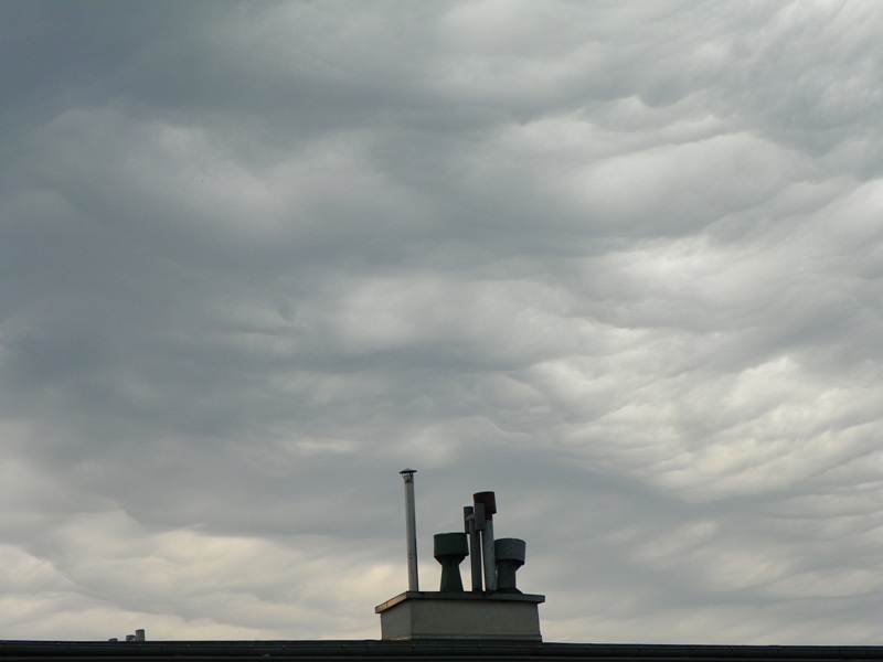 100_6185 - Kopia.JPG