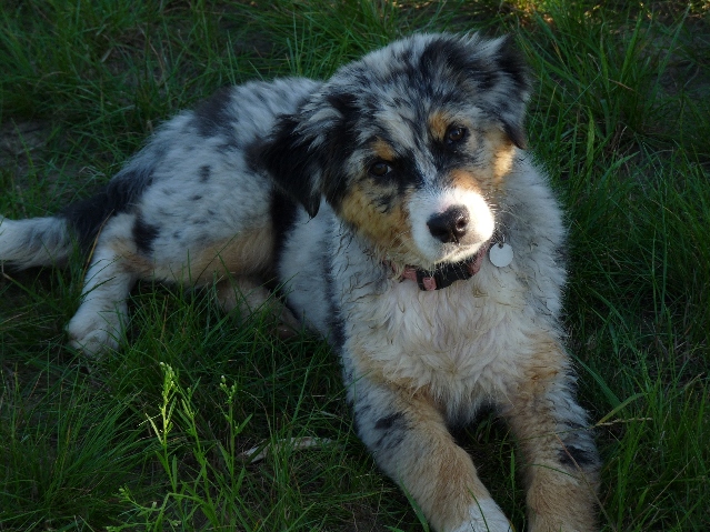 sierpień 2011 034.JPG