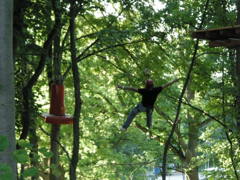 sebek w liściach.jpg