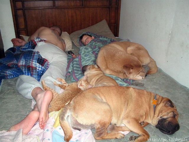 integracyjnie 5.jpeg