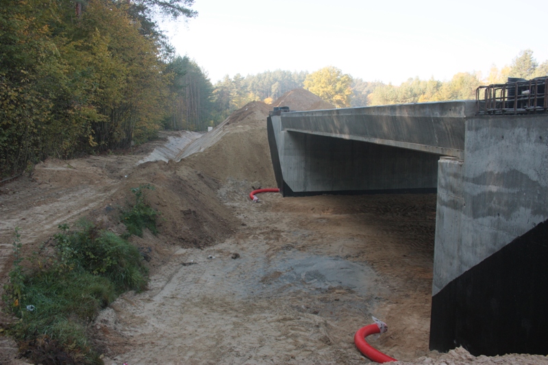 Przejście dla zwierząt.JPG