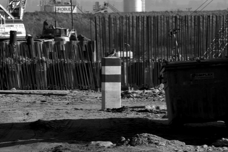 sokół na budowie.JPG