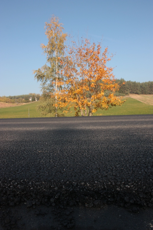 w zgodzie z naturą.JPG