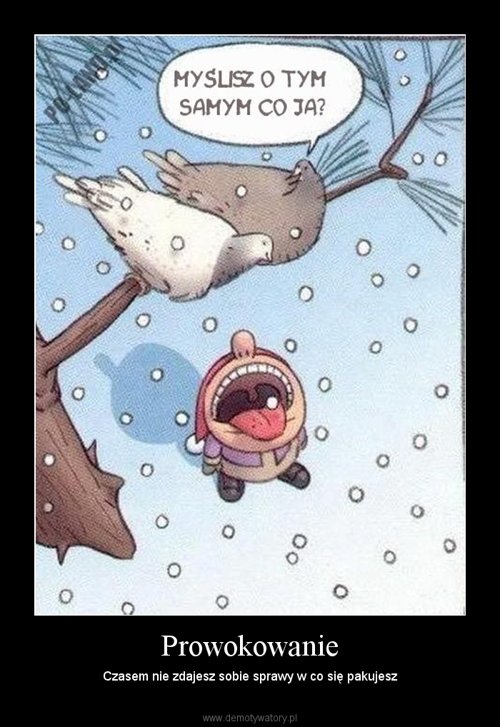 prowokowanie bywa czasami okrutne.jpg
