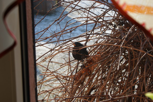 DSC00174.jpg