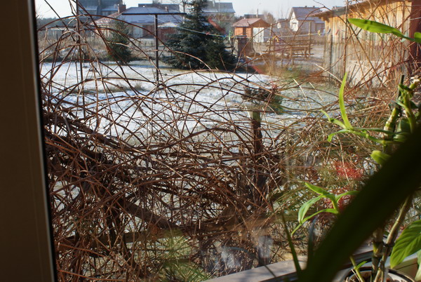 DSC00172.jpg