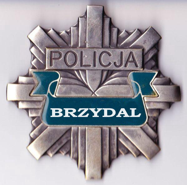 moja blacha policyjna.jpg