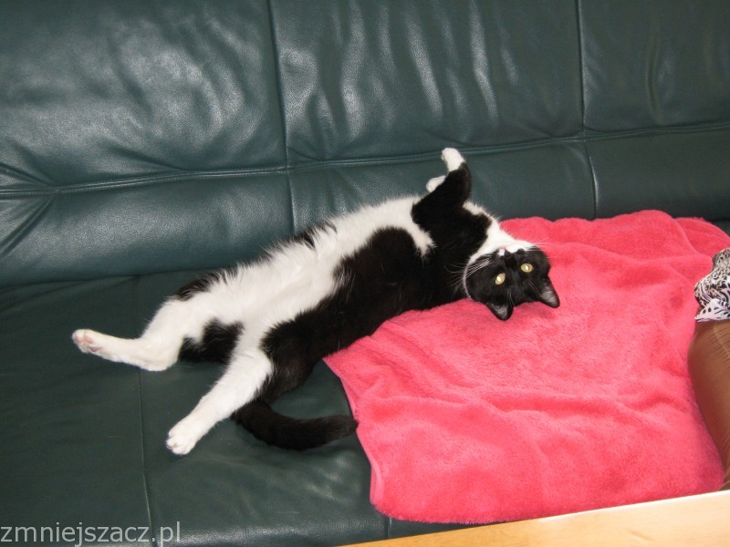 _s0.zmniejszacz.pl_IMG_0111_zmniejszacz-pl_546029.jpg