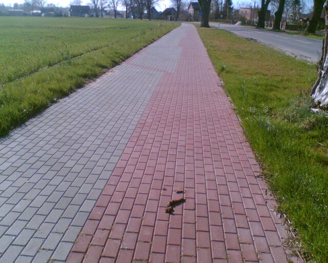 Zdjęcie023.jpg