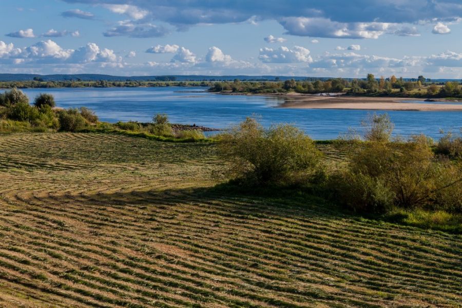 zdjęcie anduela 2.jpg