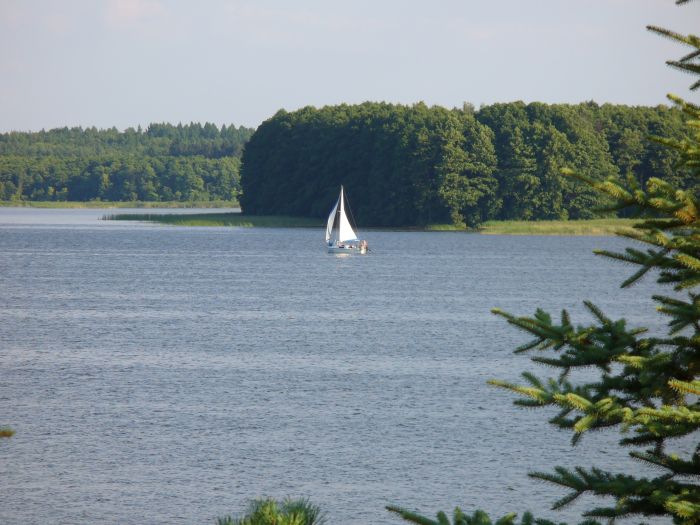 Wyspa na jeziorze.jpg