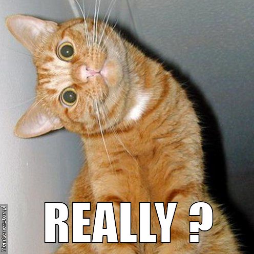 really-pl-ffffff-3.jpg