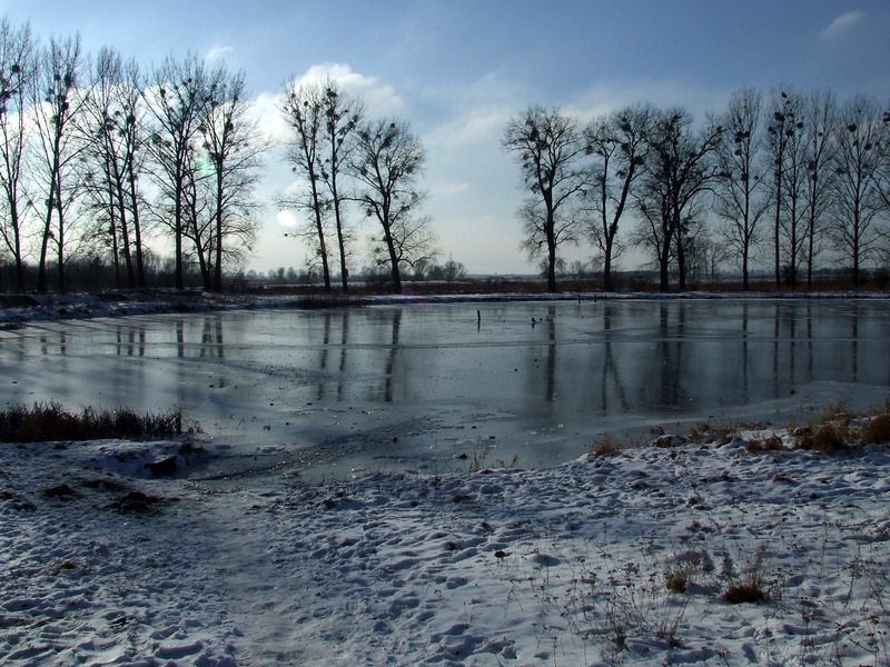 Przystań Batorego.JPG