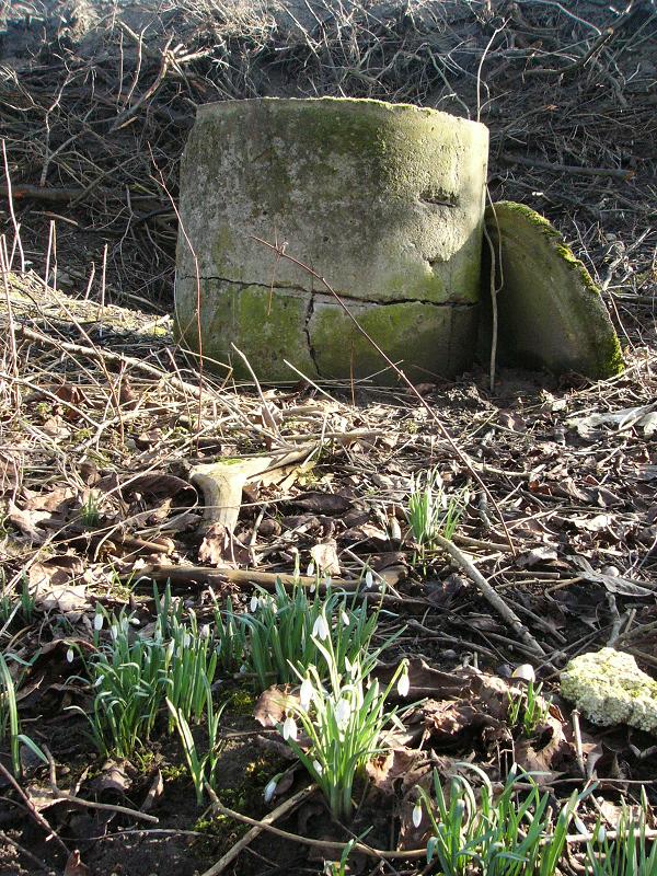 Studnia życzeń.JPG