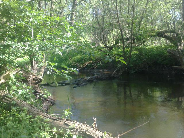 20140503758.jpg