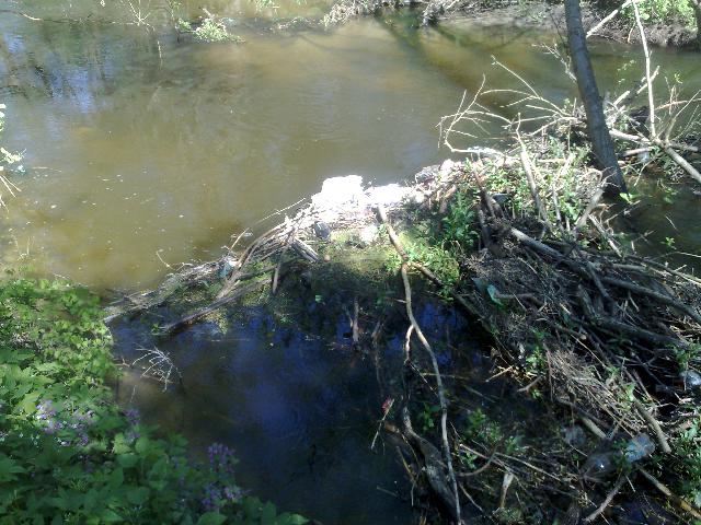 20140503745.jpg