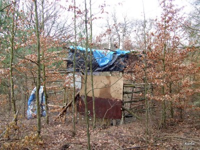 DSCF8174.JPG