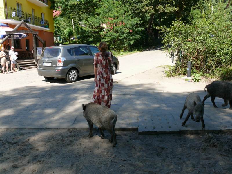 Zmiana rozmiaruP1060427.JPG