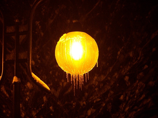 jesień 2010 055.jpg