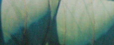 zielono-niebieskie 400.jpg