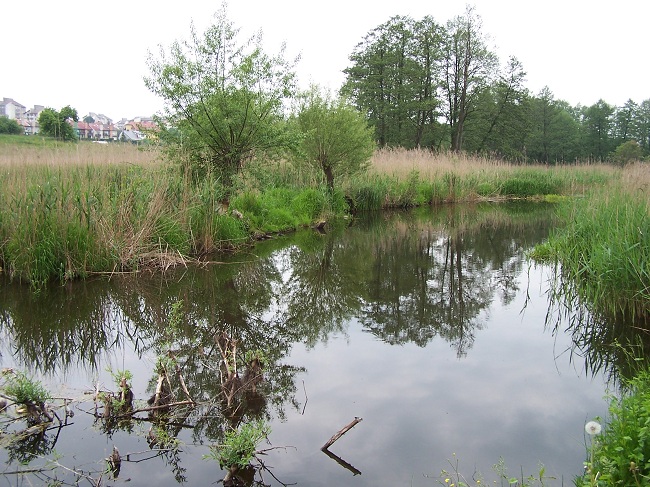 bobry maj 2007 096.jpg