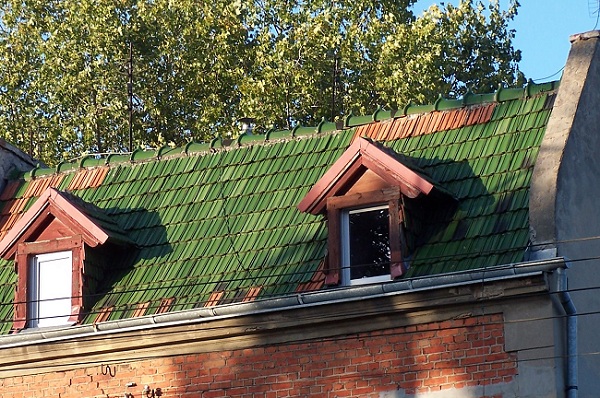 Kopia zielony dach.jpg