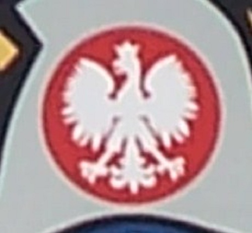 orzeł 001 - Kopia.jpg