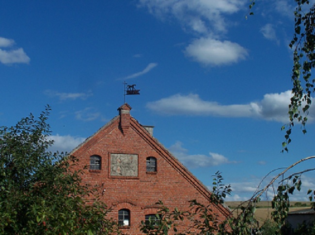 konik 002.jpg650.jpg