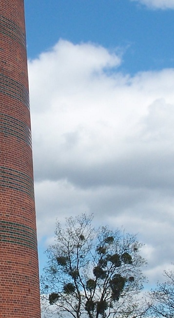 stare cegły - Kopia.jpg