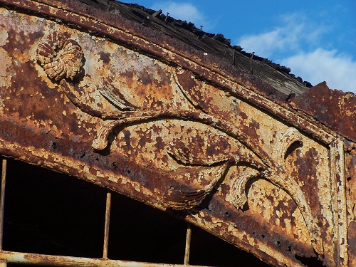 peron kwiat - Kopia.jpg