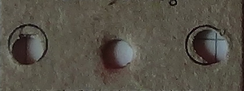 DSC02024 - Kopia.JPG