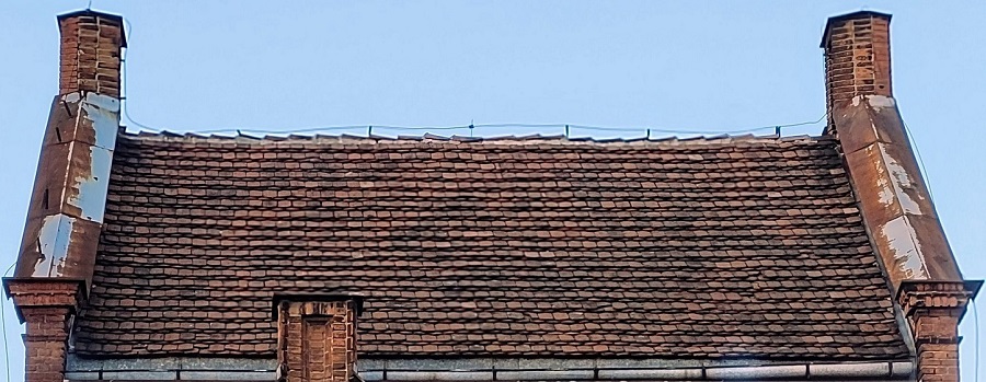 20230302_170032 (1).jpg