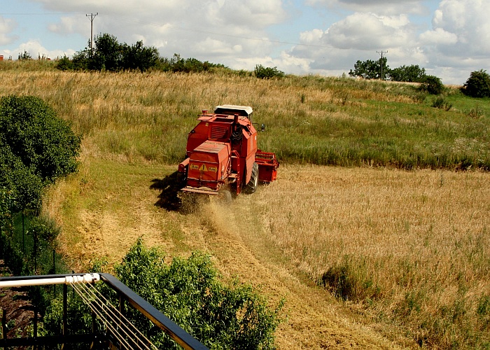 Widok_z_okna_kombajn.jpg