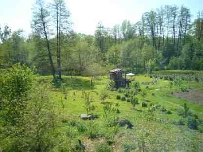 widok z mojego okna.jpg