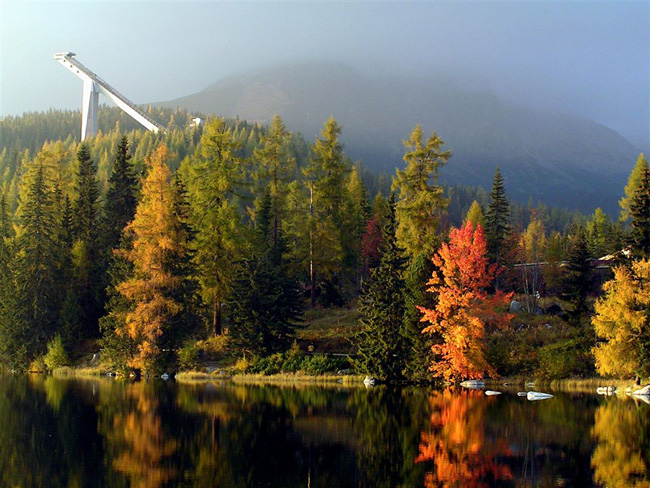PA090091.jpg