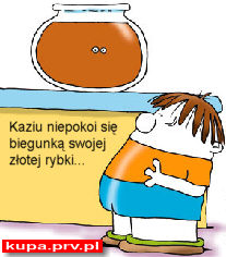 rybka.jpg