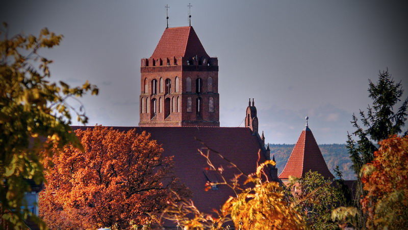 Widok_z_okna_by _DAAD.jpg