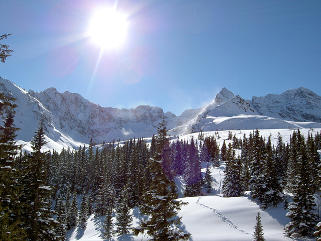 PICT0101.jpg