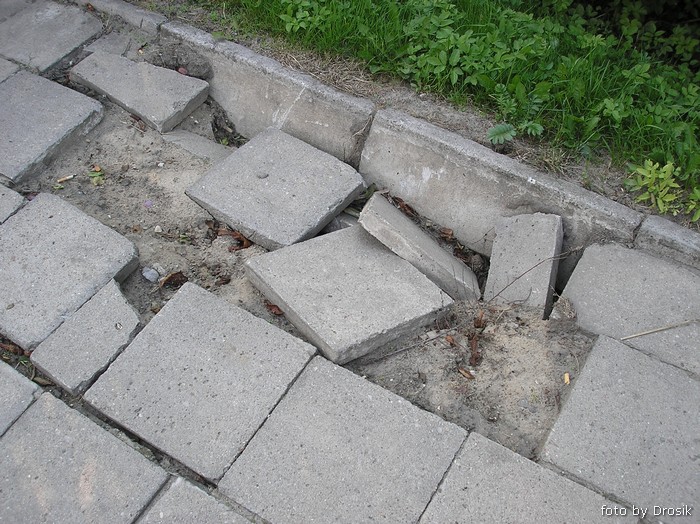 rsz_P8170058.jpg