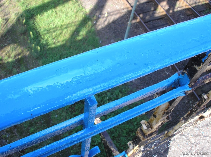 rsz_P8190025.jpg