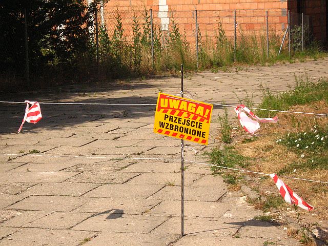dach2.jpg