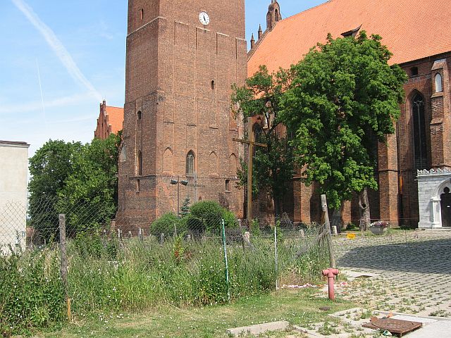 dach4.jpg