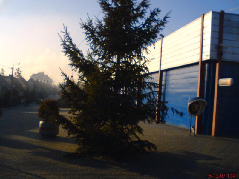 choinka przy sklepie jedynka2.JPG