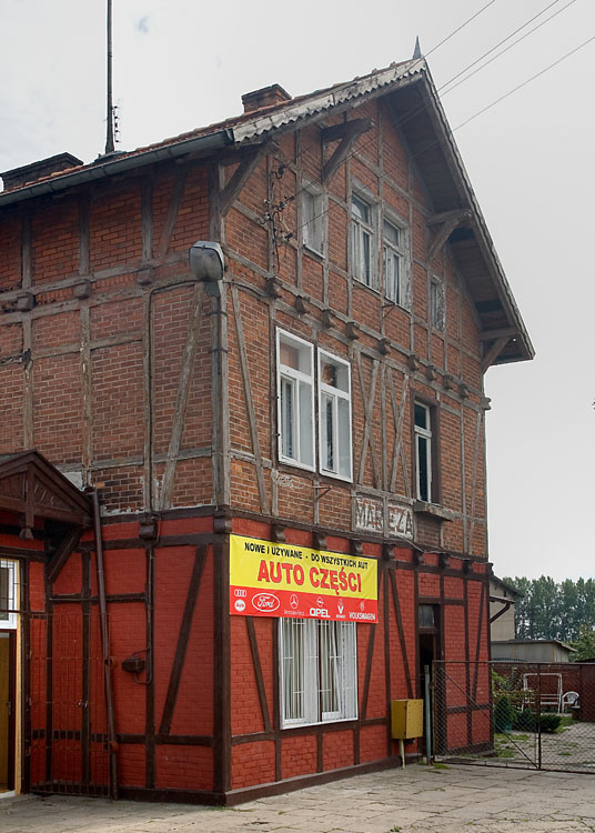 czyż nie piękny.jpg